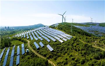 Sự vượt trội của năng lượng tái tạo là Bước đột phá của năm 2025